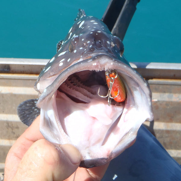 Finesse Mk54 Big Vibe 80Mm 10 G Orange Roughy Baits & Lures