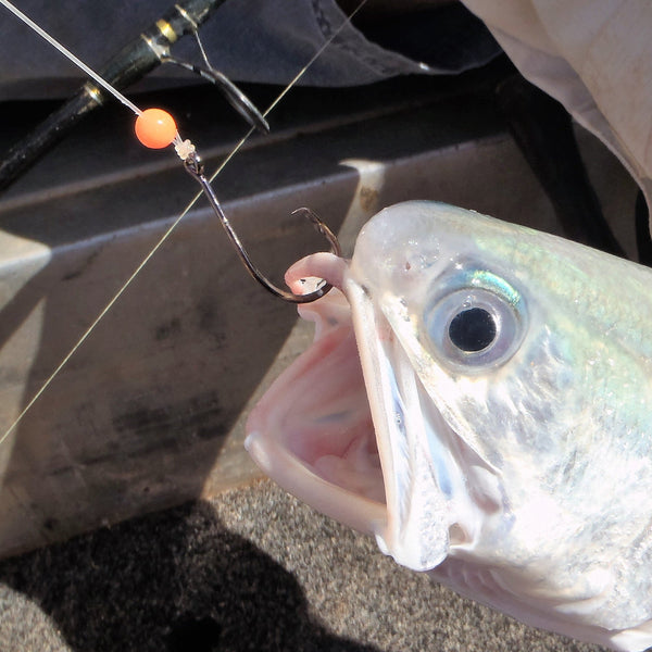 Swimerz 6Mm Beads Red 50 Pack Other Terminal Tackle