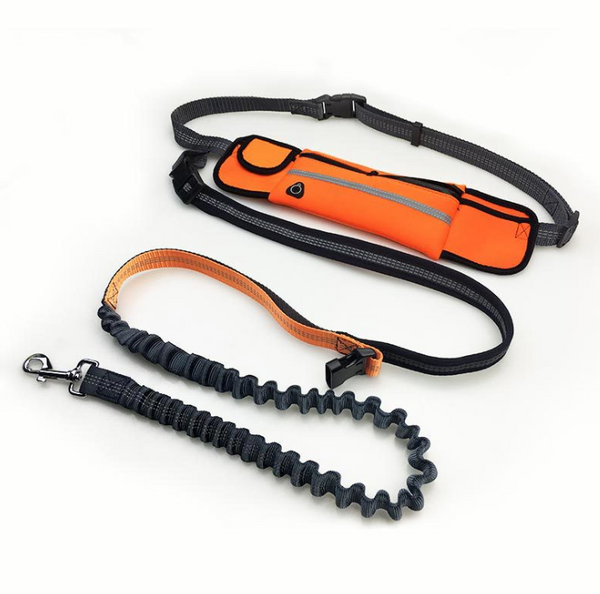 Shock Absorbing Bungee Hands Free Dog Running Leash With Waist Pocket