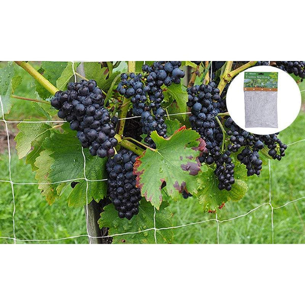 Pots Planters White Trellis Netting Vegetable Flower Vine Climbing Trellises