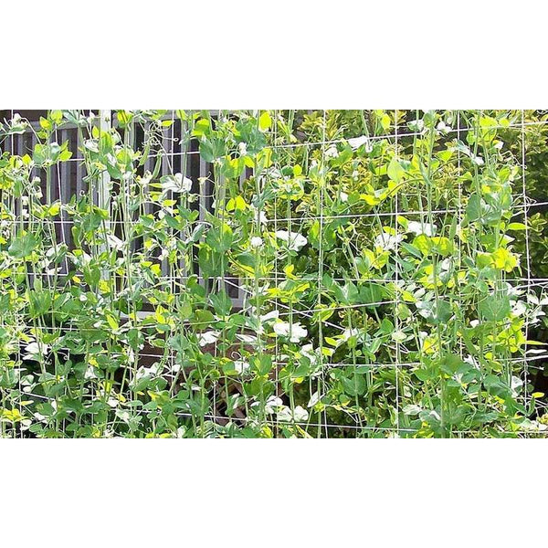 Pots Planters White Trellis Netting Vegetable Flower Vine Climbing Trellises