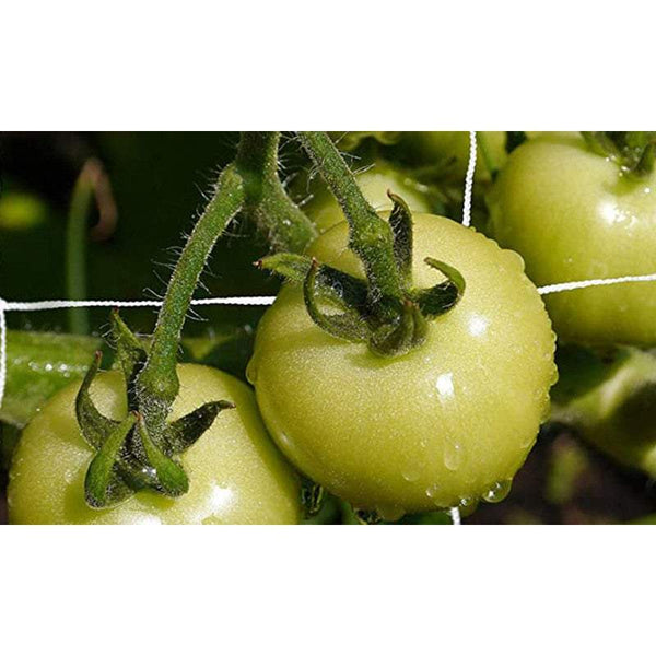 Pots Planters White Trellis Netting Vegetable Flower Vine Climbing Trellises