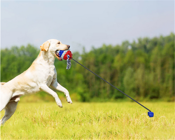Anti Boredom Fun Dog Ball Toy With Ground Stake
