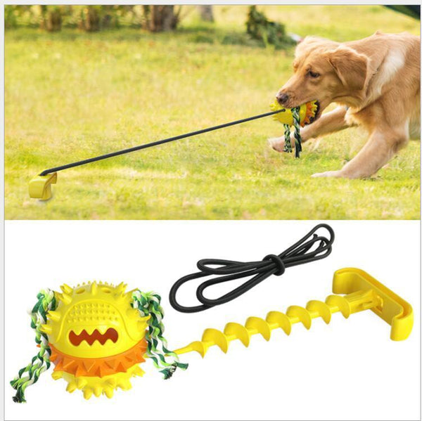 Anti Boredom Fun Dog Ball Toy With Ground Stake Dog Toys