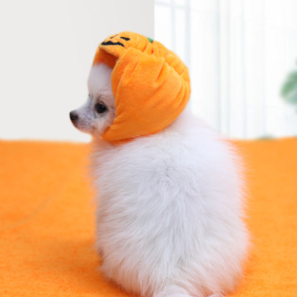 Pet Cat Dog Pumpkin Hat Halloween Ghost Festival Decoration Headwear Supplies Dog Costumes