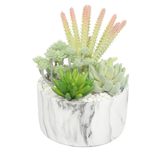 Potted Artificial Succulent Bowl With Marble 20.5Cm