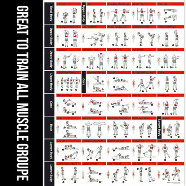 17 Pieces Latex Pull Rope Resistance Bands Kit Gym Equipment Resistance Trainers