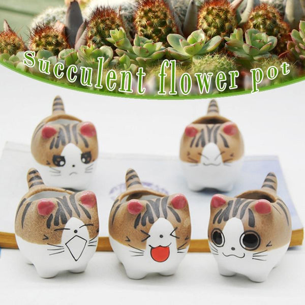 Cheeky Cat Cute Succulent Mini Flower Pot Desktop Decor Baskets Pots Window Boxes