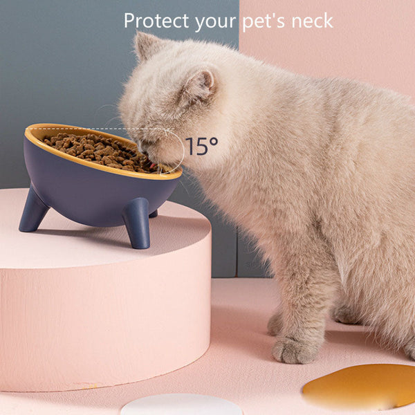 Cat Dog Bowl With Stand Pet Feeding Elevated Dishes