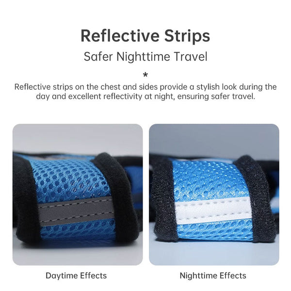 Pet Harness Set (Small Dogs/Cats): Vest Collar Leash. Fits French Bulldogs Chihuahuas Etc. Harnesses