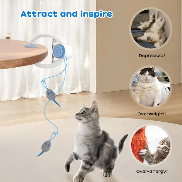Interactive Electric Cat Toy Door Hanging Usb Rechargeable Retractable Self Play Cat Toys