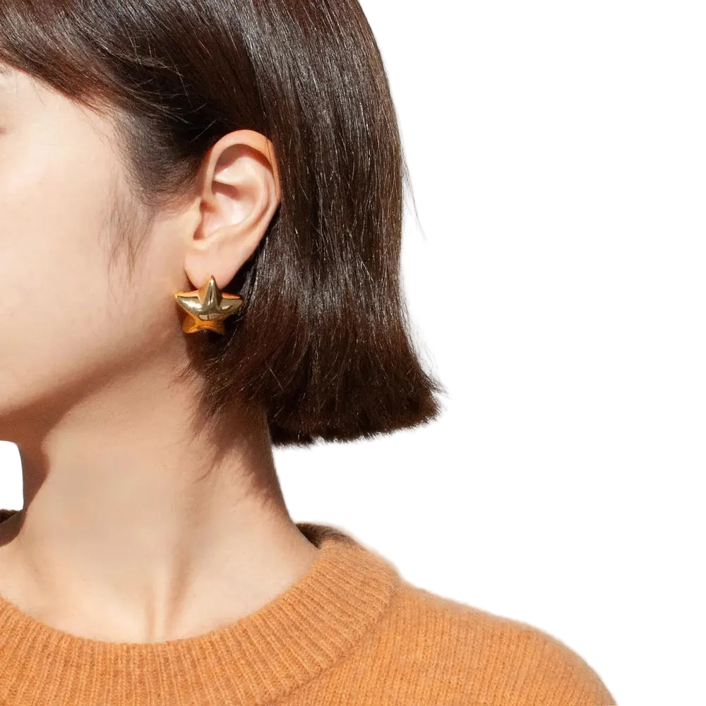 Stainless Steel Star Stud Earrings