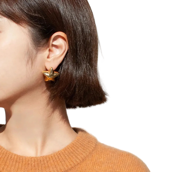 Stainless Steel Star Stud Earrings