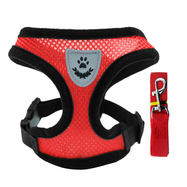 Pet Harness Set (Small Dogs/Cats): Vest Collar Leash. Fits French Bulldogs Chihuahuas Etc. Harnesses