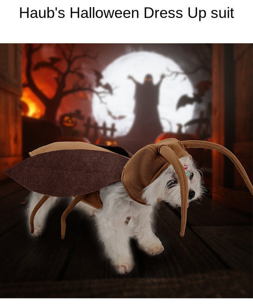 Pet Transformation Costume Halloween Outing Funny Dog roach Cat Dog Clothing & Shoes