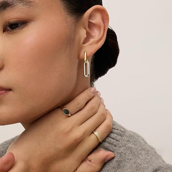 Veile Studios Two Colour Chain Clause Creative Girls Light Luxury High End Earring Accessories Earrings