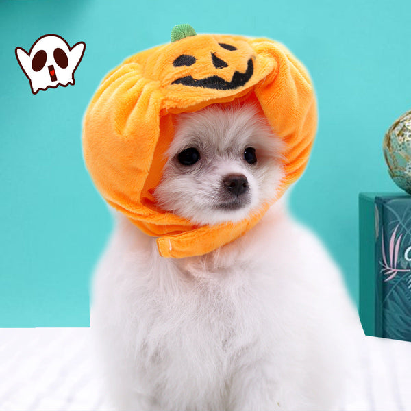 Pet Cat Dog Pumpkin Hat Halloween Ghost Festival Decoration Headwear Supplies Dog Costumes