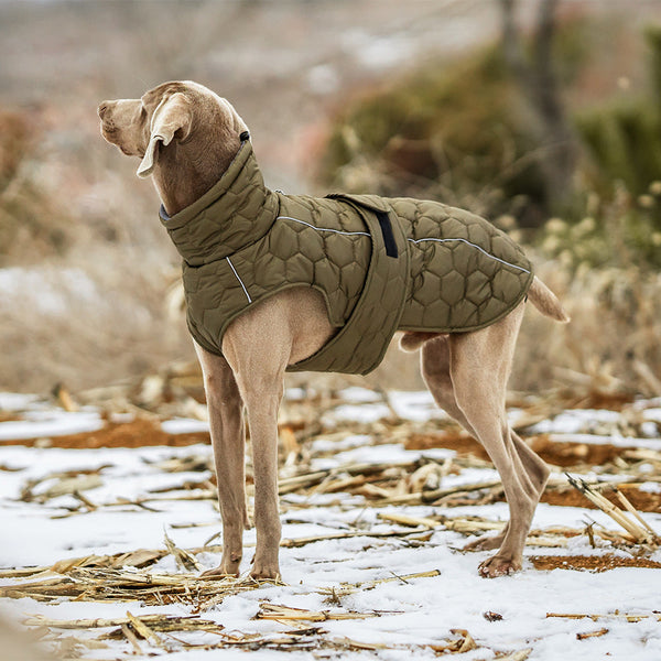 Thick And Warm Dog Clothing Outdoor Cotton Coat Vest For Winter Warmth Dog Clothing & Shoes