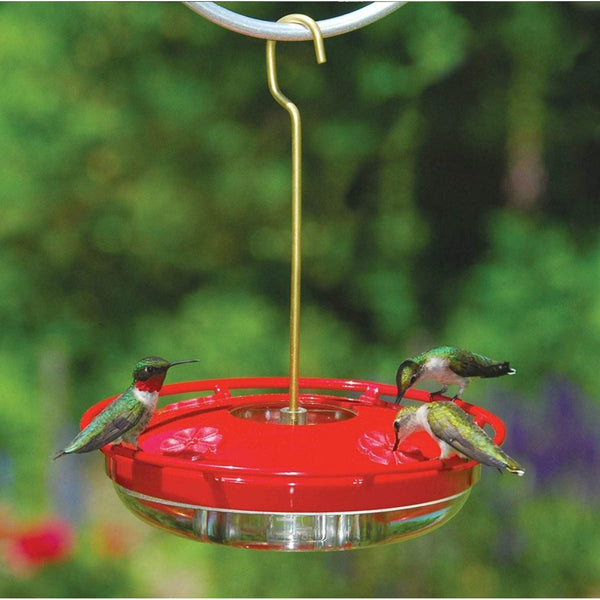 Creative Hummingbird Feeder Outdoor Hanging Feeding Device Feeders