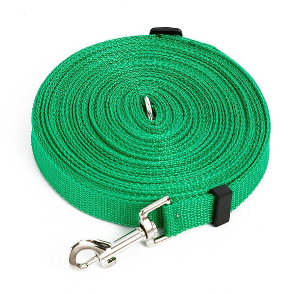 Light Nylon Dog Leash Leads & Head Collars