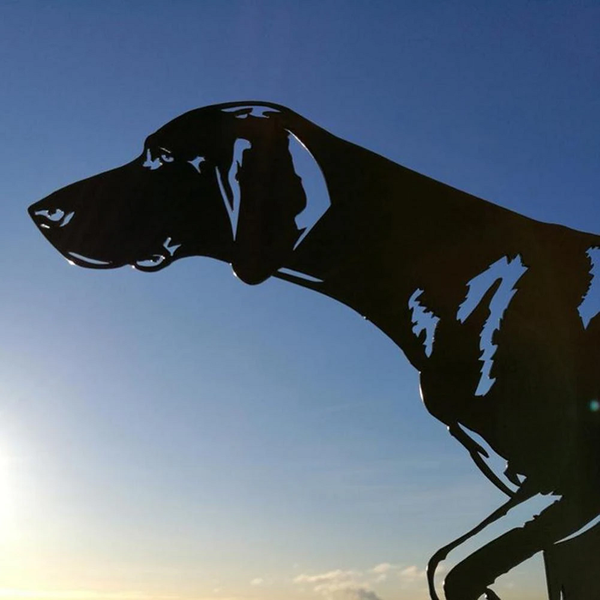 Metal Stake Easy Installation Practical Animal Shape Wind Sign Weathervane Weather Vanes