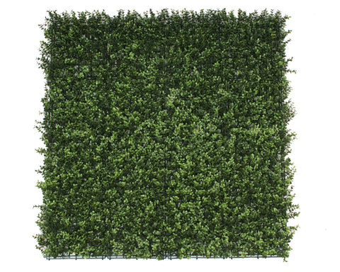 Premium Natural Buxus Hedge Panels Uv Resistant 1M X
