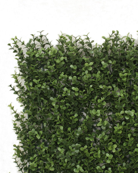 Premium Natural Buxus Hedge Panels Uv Resistant 1M X