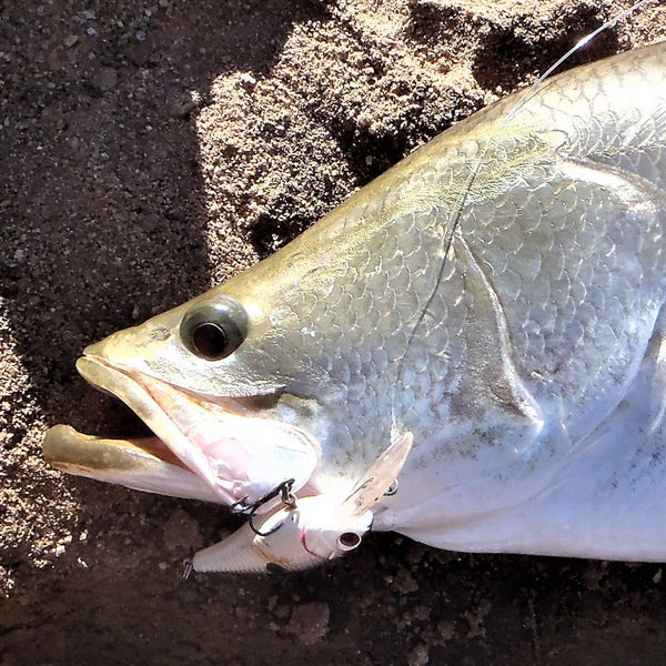 Swimerz Striker Trebles Size 8 Black Nickel 14 Pack Hooks