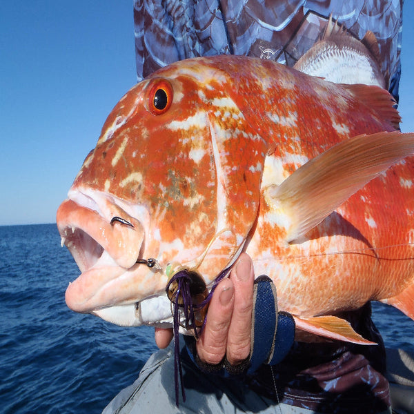 Artizan Skirt Collar Amber Qty 50 Baits & Lures