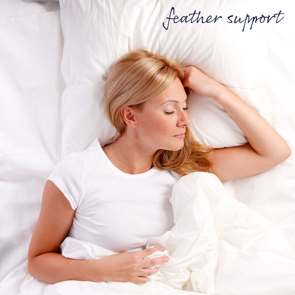 Royal Comfort Goose Pillow Twin Pack 1000Gsm Pillows