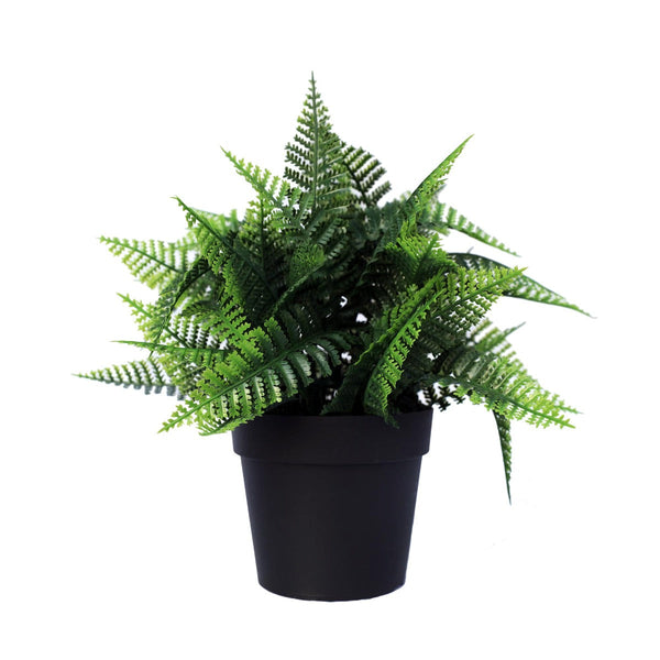 Small Potted Artificial Persa Boston Fern Plant Uv Resistant 20Cm Artificial Plants