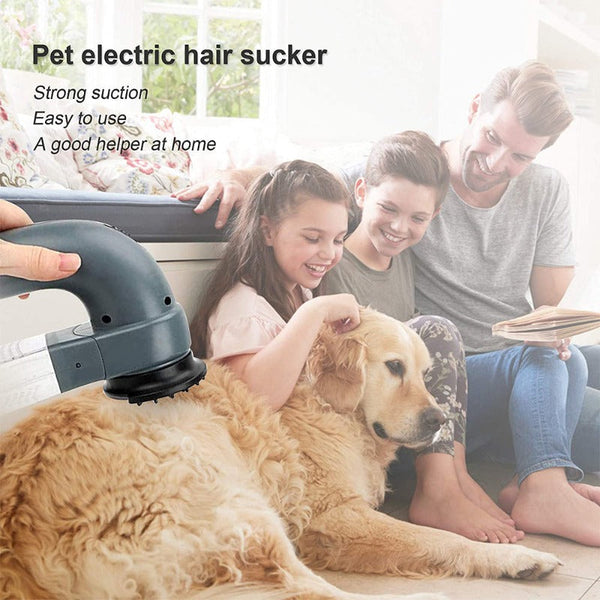 Electric Pet Dog Hair Vacuum Removing Machine
