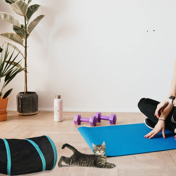 Foldable Pet Cat Exercise 4 Way Tunnel Play Toy Cat Toys