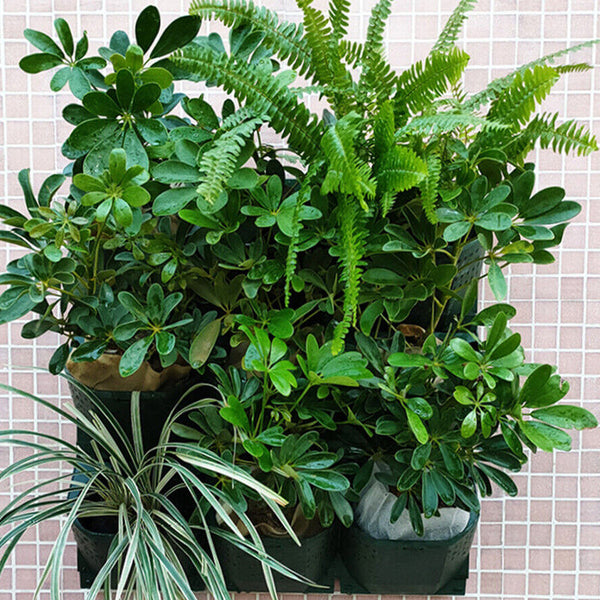 3D Vertical Stackable Wall Mounted Outdoor Garden Planter Box Planters & Vases