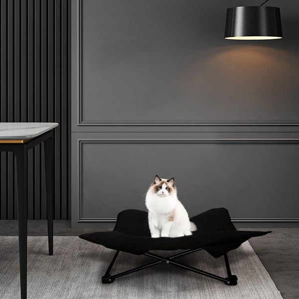 Petswol Elevated Dog Bed Foldable Design Durable Material Travel Friend Pet Beds