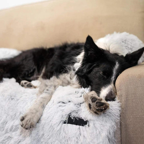 Furniture Mat Protector With Washable Cover Pet Cushion Pet Transport