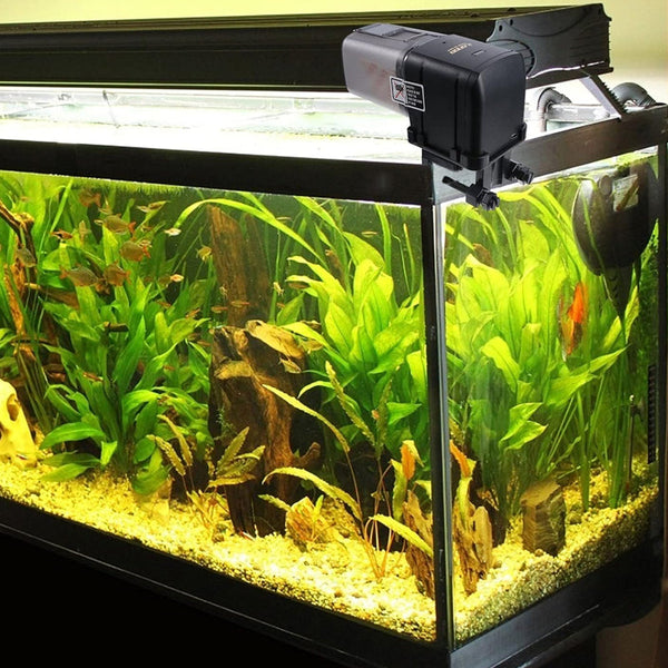 Wi Fi Enabled Automatic Pet Fish Feeder Food Dispenser Usb Powered Fish Feeders