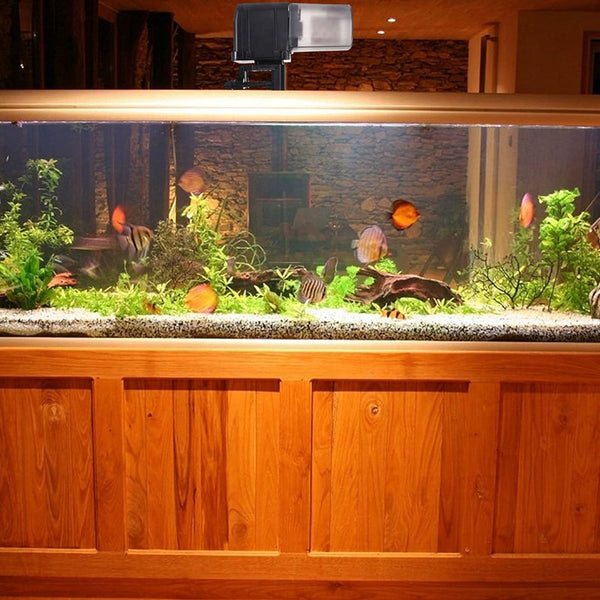 Wi Fi Enabled Automatic Pet Fish Feeder Food Dispenser Usb Powered Fish Feeders