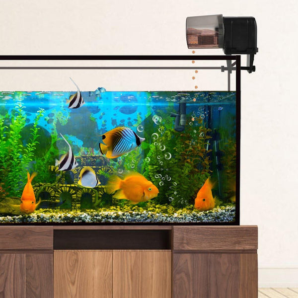 Wi Fi Enabled Automatic Pet Fish Feeder Food Dispenser Usb Powered Fish Feeders