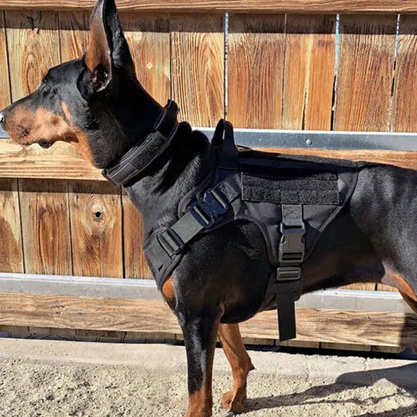 No Pull Reflective Tactical Harness For Military Service Dogs Harnesses