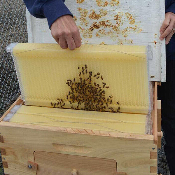 Wooden Beekeeping Beehive Housebox With Auto-Flowing Honey Frames