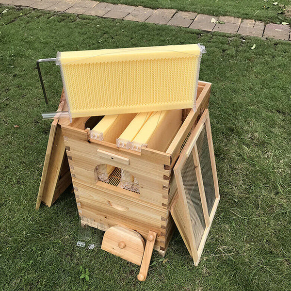 7 Pcs Unassembled Sheets Beehive Wooden Frames Beekeeping Supplies Beekeeping Equipment