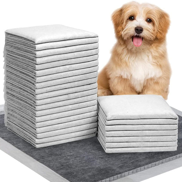 Petswol 100/50/40/20 Pack Disposable Dog Training Pads