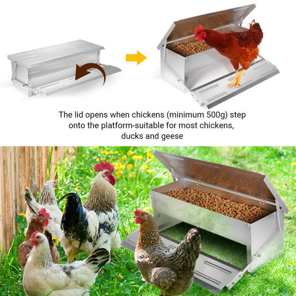 Heavy Large 5Kg Treadle Automatic Farm Poultry Feeder Kit Pet Chicken Supplies