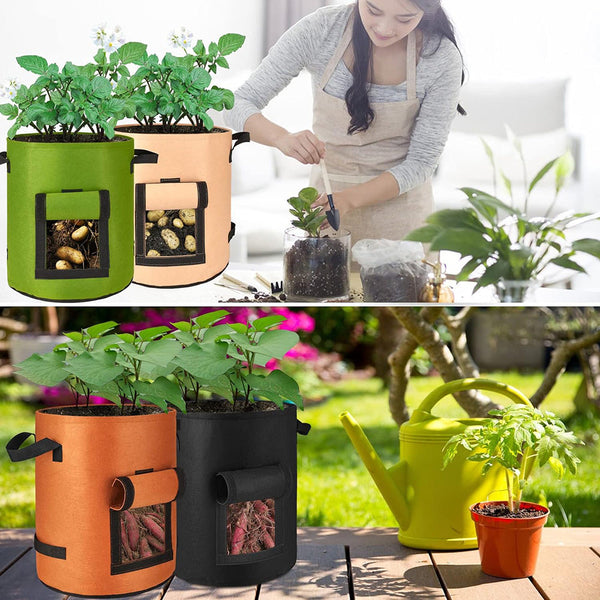 10 Gallon Potato Grow Container With Side Available In 2 Quantity And 3 Colors Baskets Pots Window Boxes