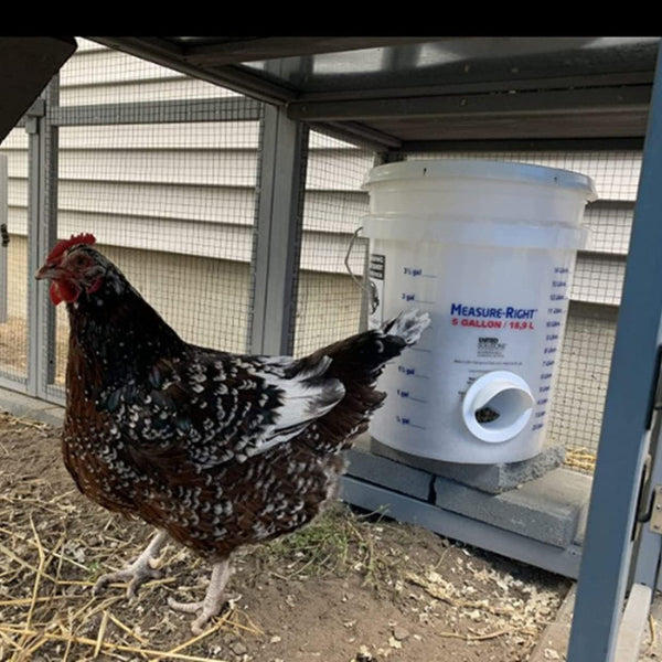 Waterproof No Waste Diy Chicken Feeders Gravity Kit For Buckets Boxes Tanks Pet Chicken Supplies