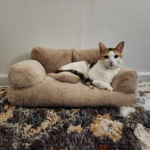 Luxurious Plush Sofa Bed For Cats And Small Dogs Pet Beds