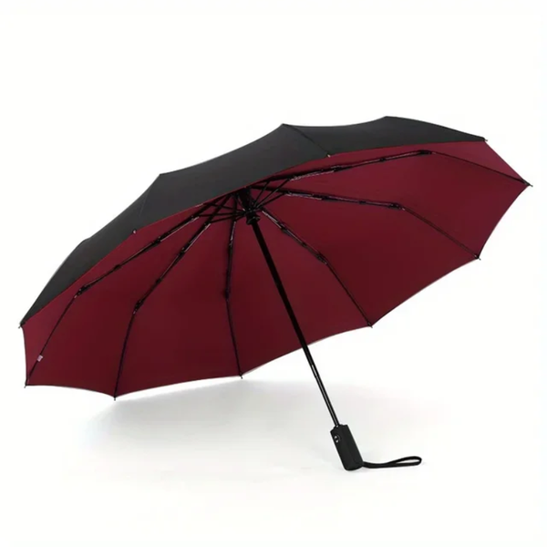 10Kg Windproof Double Layer Umbrella Umbrellas