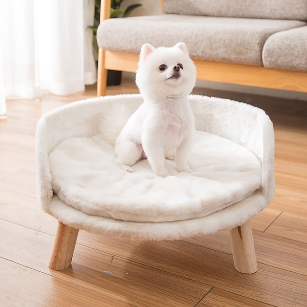 Plush Luxury Cat Bed With Cozy Cushion Pad Pet Beds