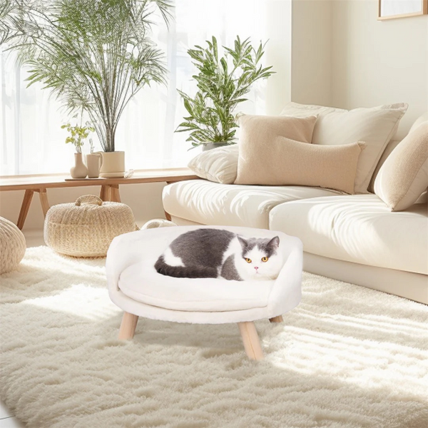 Plush Luxury Cat Bed With Cozy Cushion Pad Pet Beds
